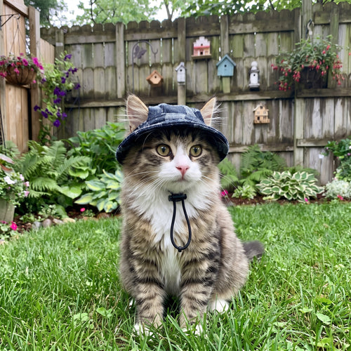 Betty's Bucket Hats