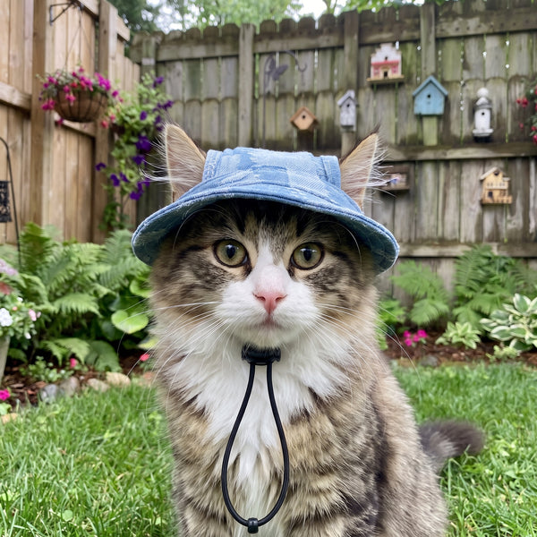 Betty's Bucket Hats